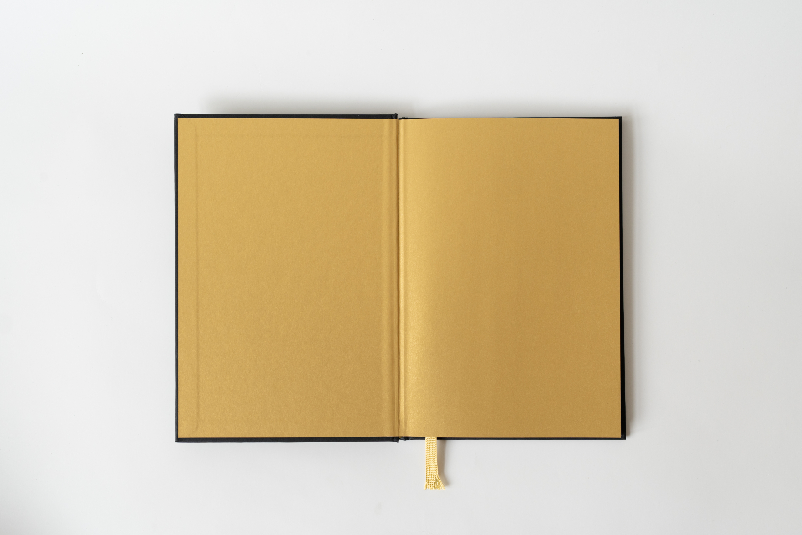 2025_Éva Garcia_Livre_©Barbara de Vuyst_HR13