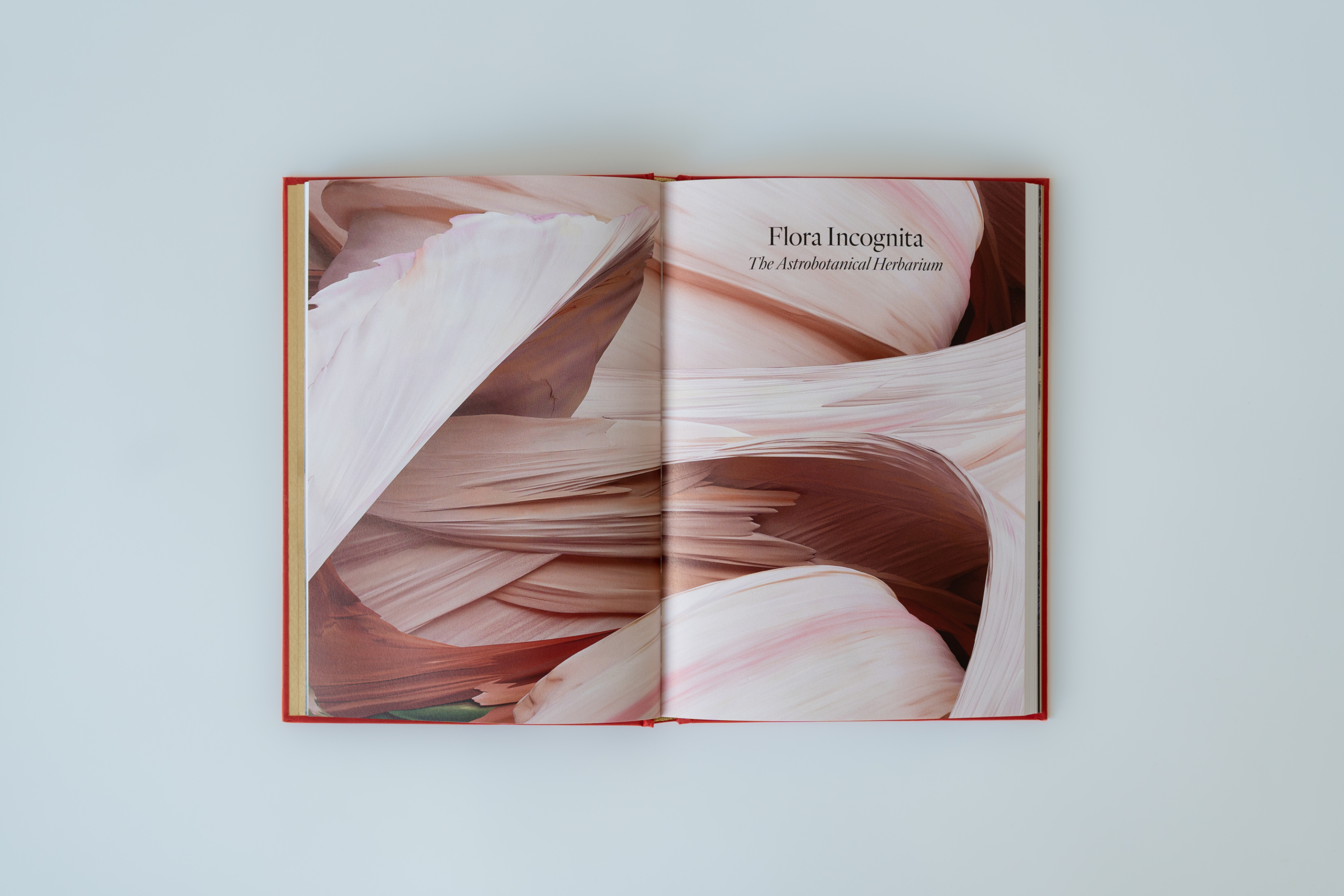 H-DEF-LIvre.V-Fournier-16