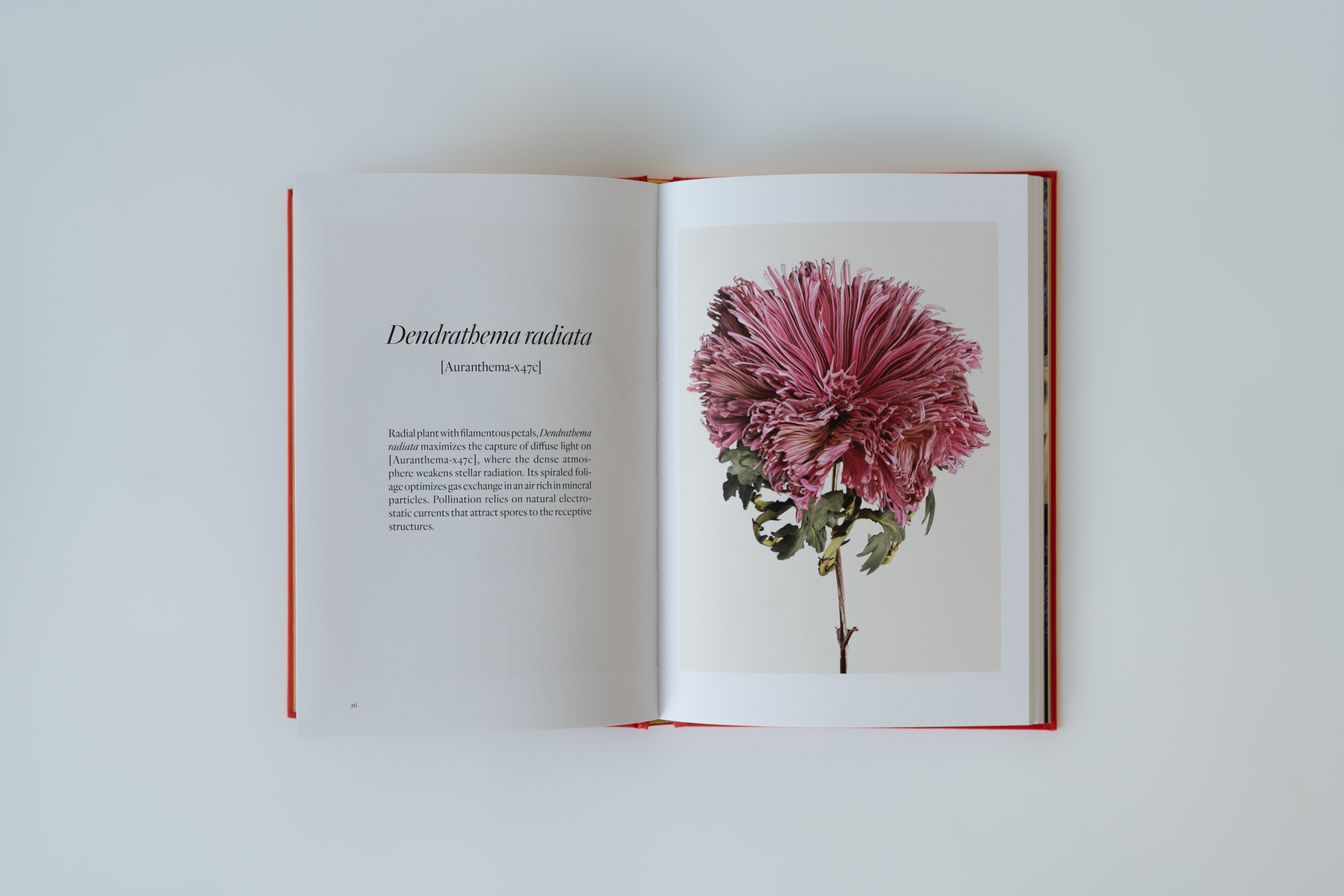 H-DEF-LIvre.V-Fournier-17