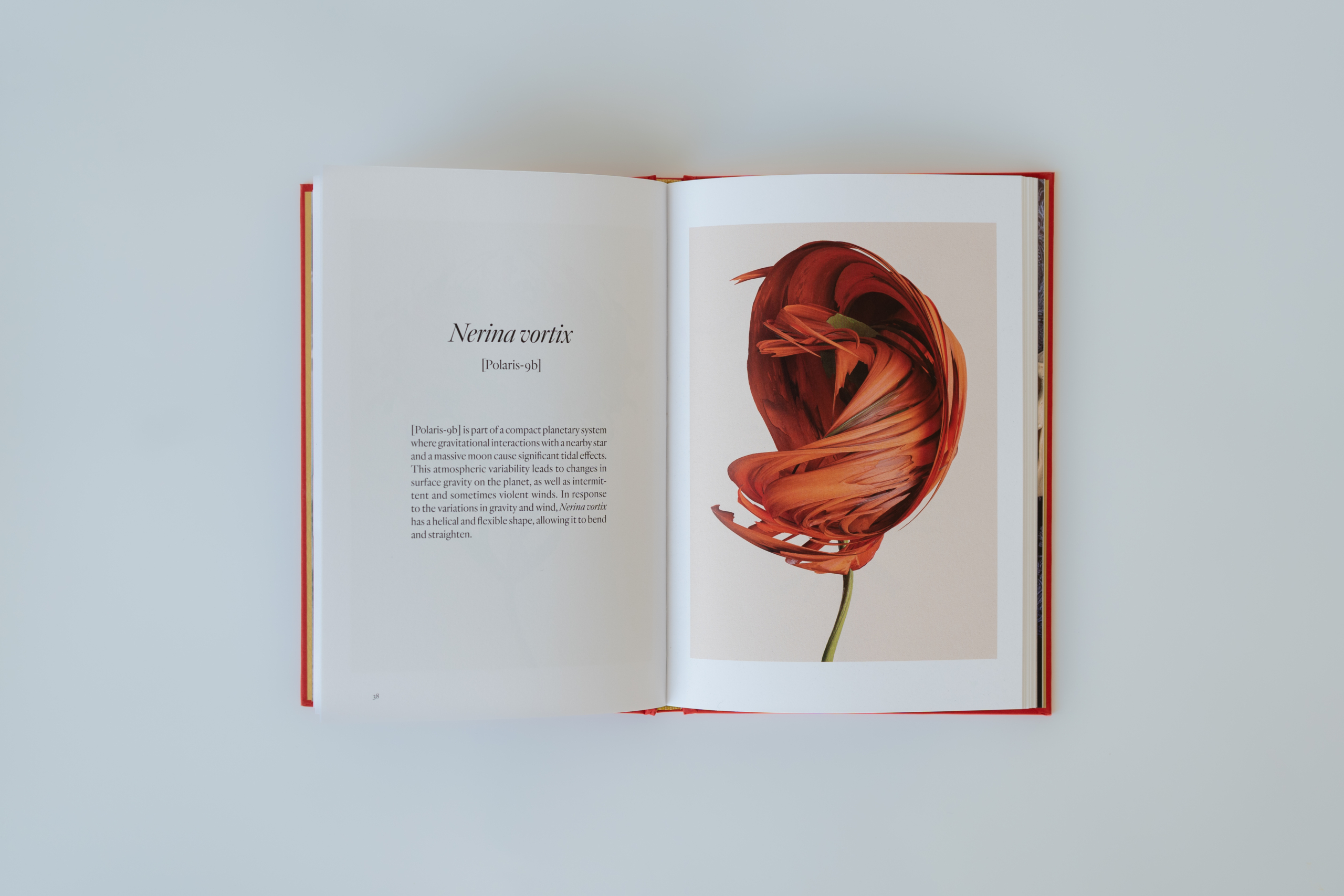 H-DEF-LIvre.V-Fournier-18