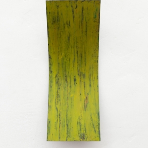 25 Seasons Lacquer Leaf Yellow in Green