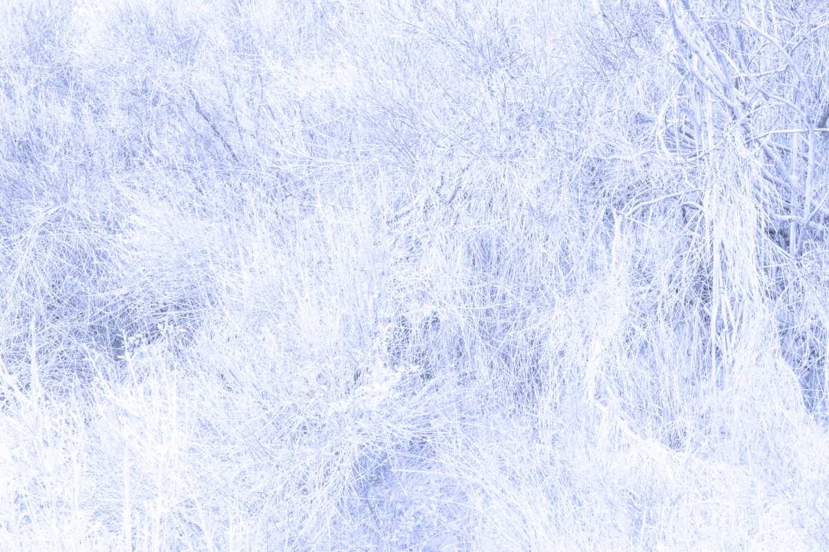 PANORAMIC_Bic_Blue