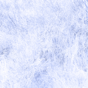 PANORAMIC_Bic_Blue