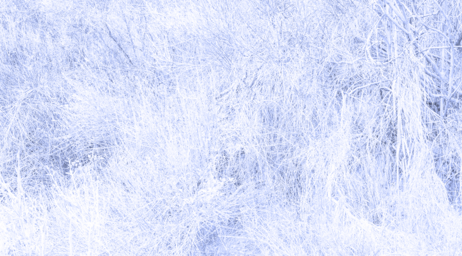PANORAMIC_Bic_Blue