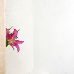 PANORAMIC_Pink_Flower_Gentle_Fall