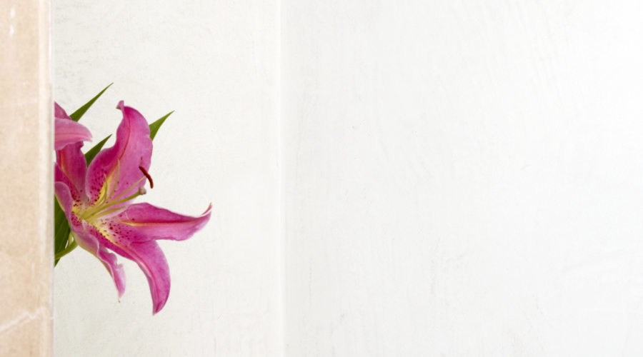 PANORAMIC_Pink_Flower_Gentle_Fall