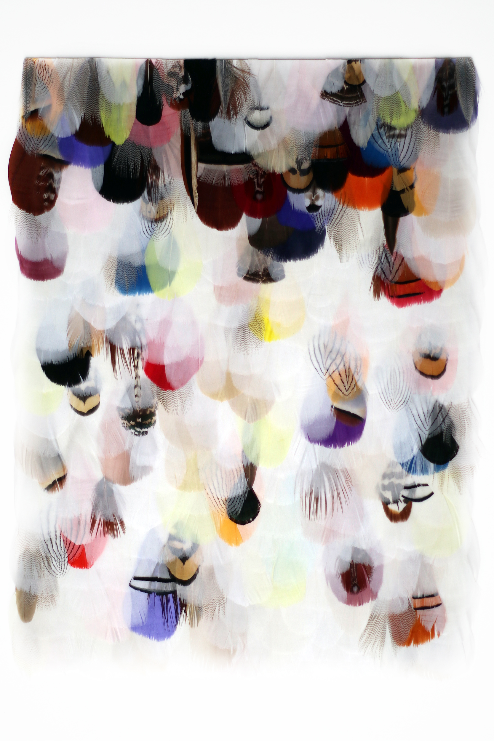 Immersion XV, Semer