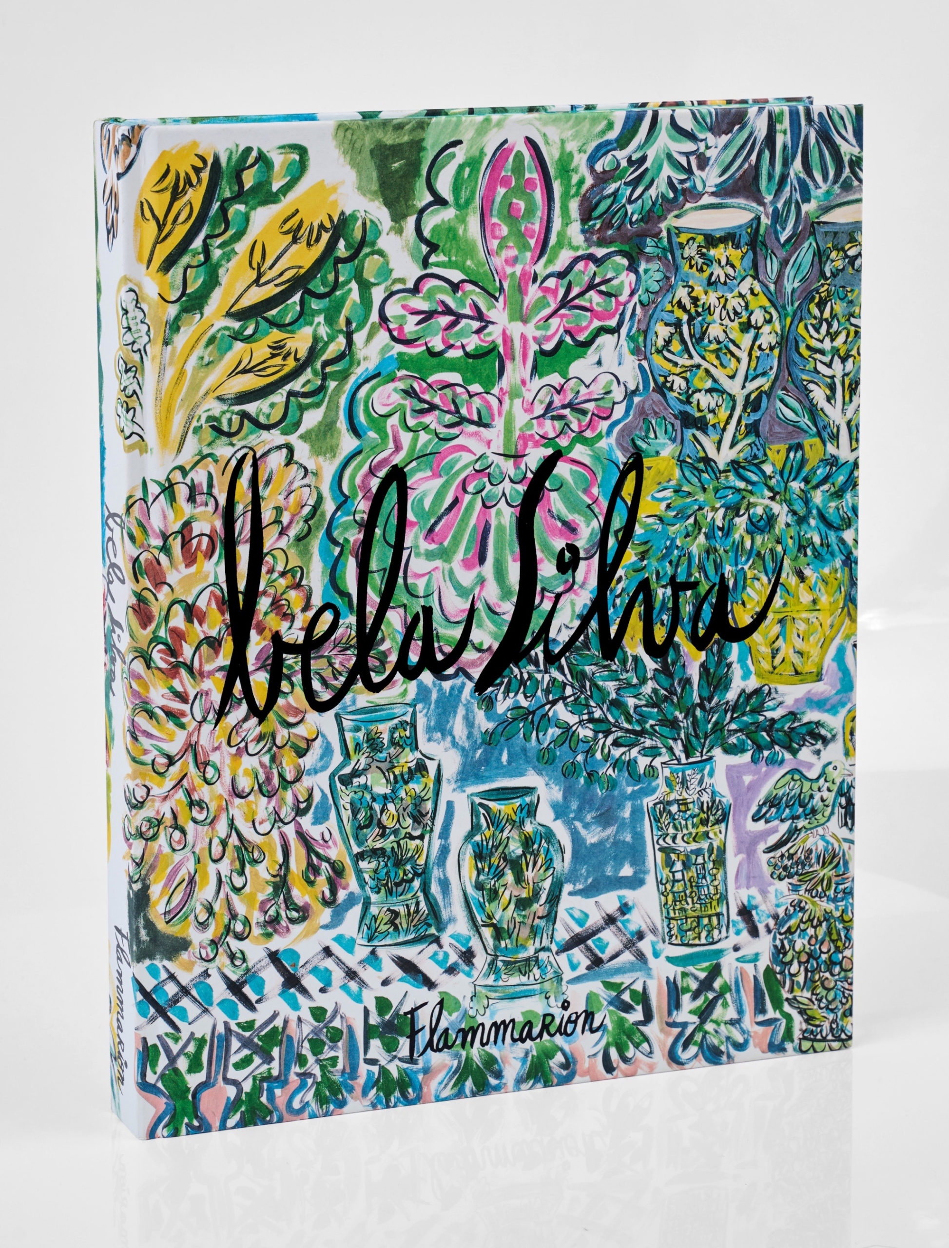Bela-Silva_Flammarion_-©-Sebastien-Van-de-Walle_1
